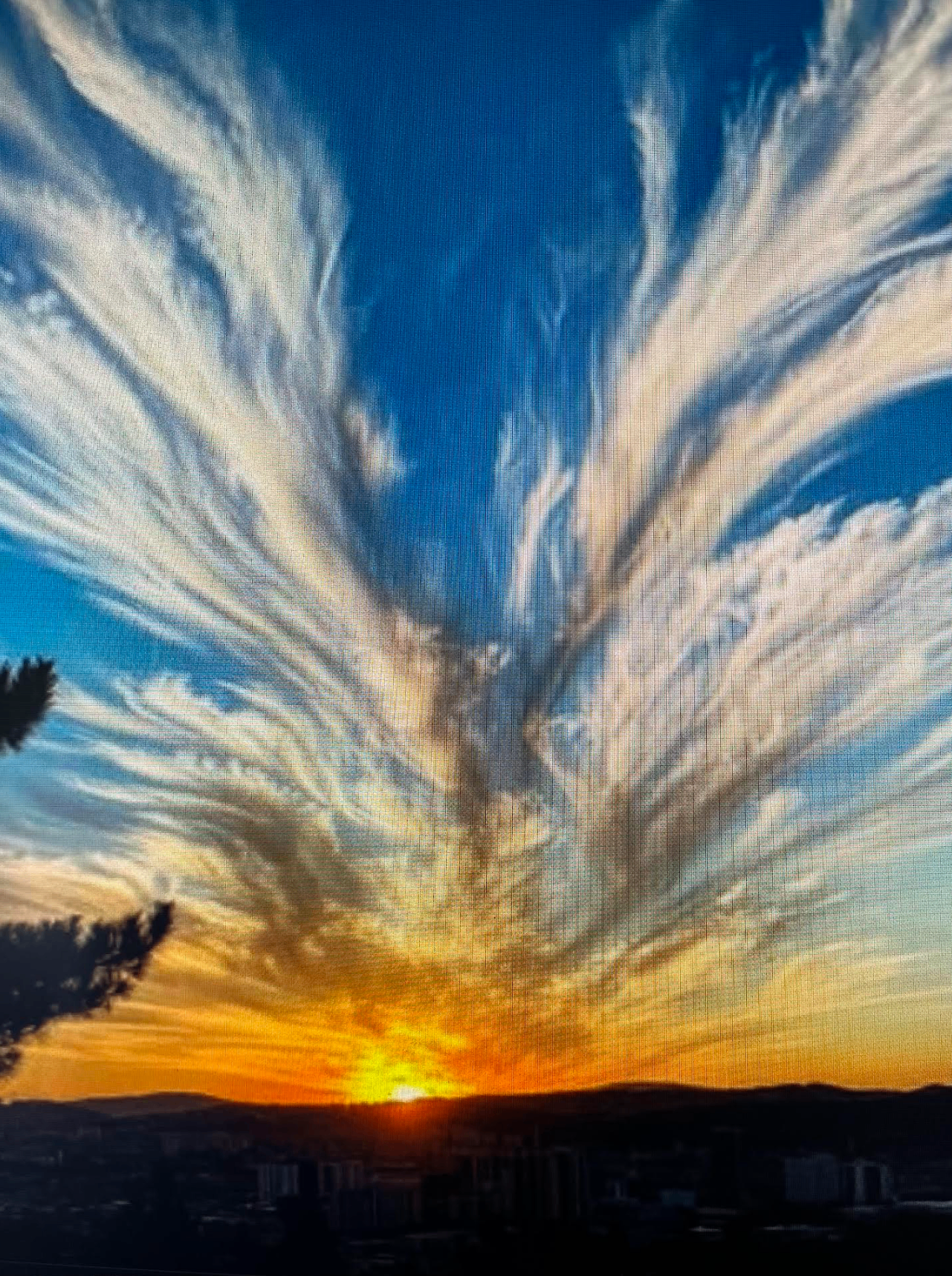Sunset sky with cirrus clouds spreading like wings — a phoenix rising